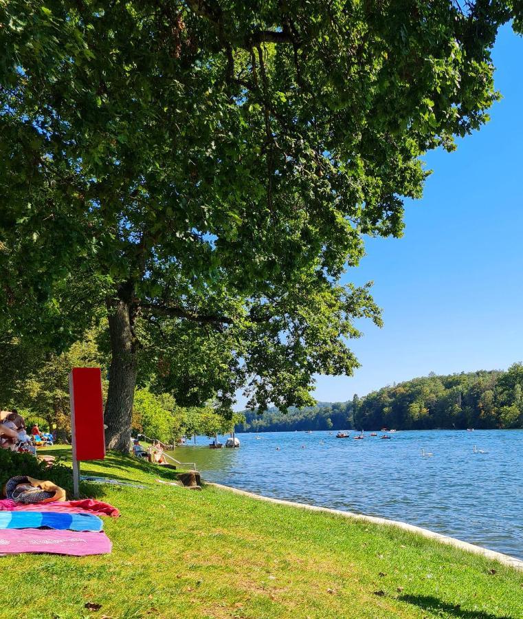 Ferienwohnung Rheinblick In Buesingen -Keine Monteure- Busingen Exteriér fotografie