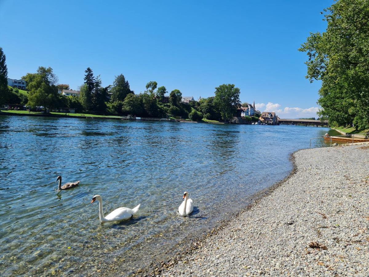Ferienwohnung Rheinblick In Buesingen -Keine Monteure- Busingen Exteriér fotografie