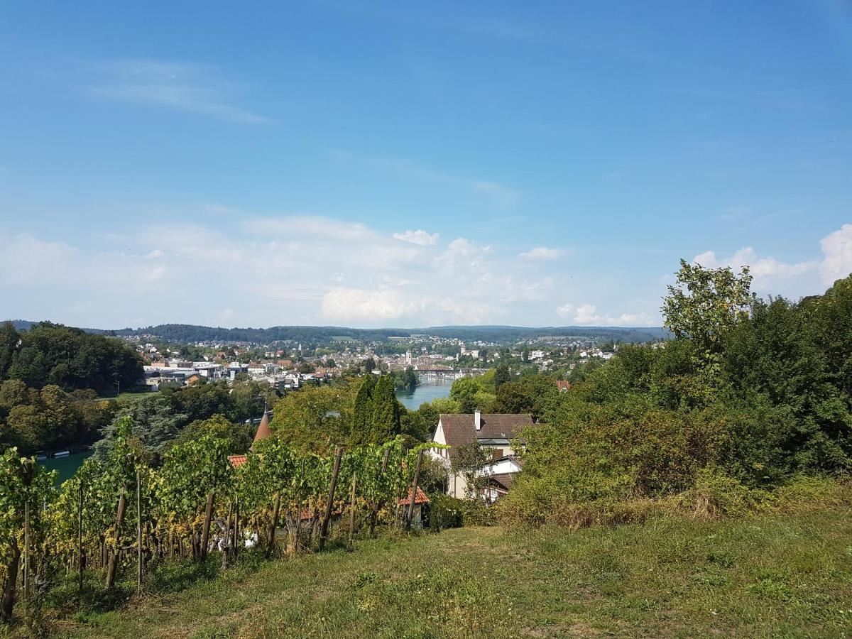 Ferienwohnung Rheinblick In Buesingen -Keine Monteure- Busingen Exteriér fotografie