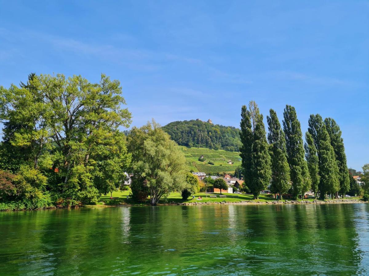 Ferienwohnung Rheinblick In Buesingen -Keine Monteure- Busingen Exteriér fotografie