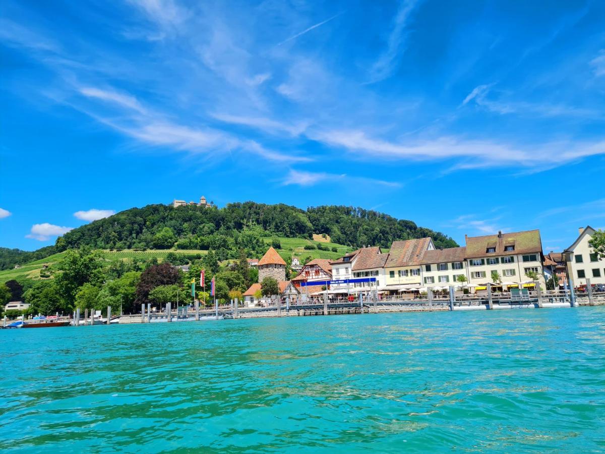 Ferienwohnung Rheinblick In Buesingen -Keine Monteure- Busingen Exteriér fotografie