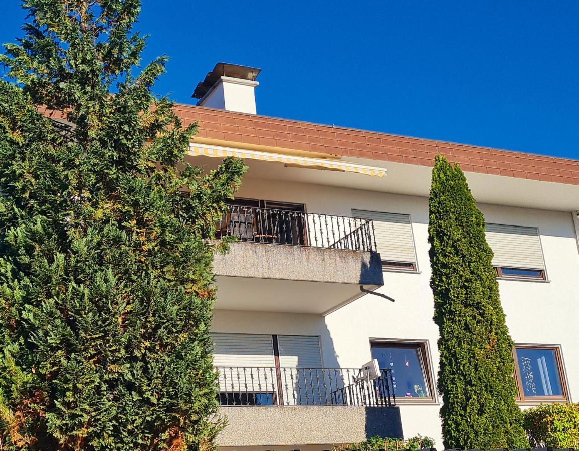 Ferienwohnung Rheinblick In Buesingen -Keine Monteure- Busingen Exteriér fotografie