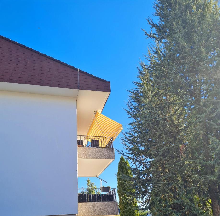 Ferienwohnung Rheinblick In Buesingen -Keine Monteure- Busingen Exteriér fotografie