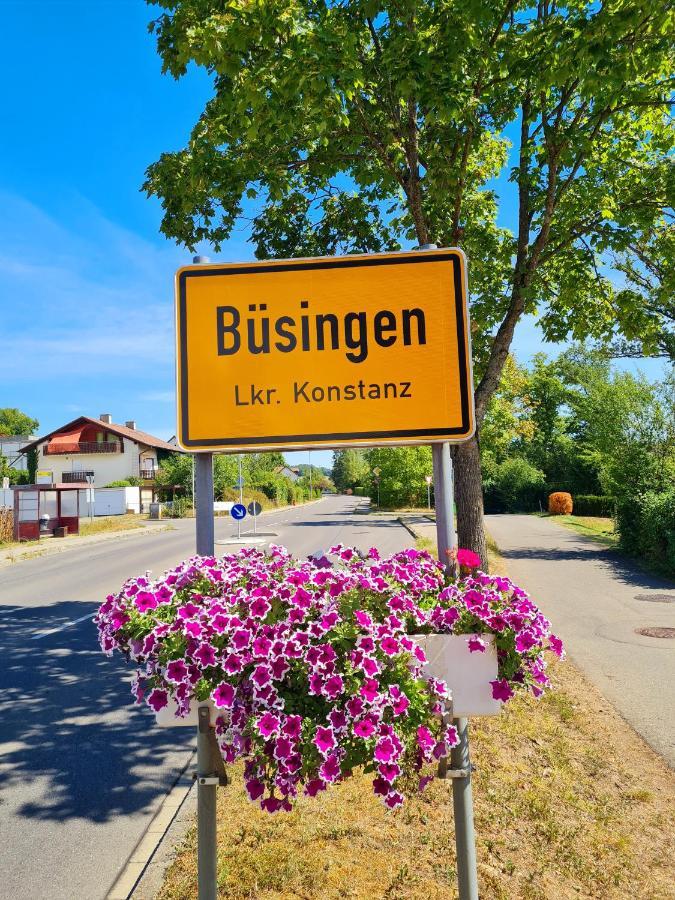 Ferienwohnung Rheinblick In Buesingen -Keine Monteure- Busingen Exteriér fotografie